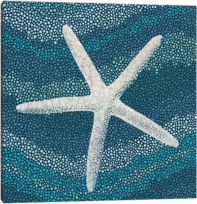 Sea Glass IV Canvas Art Print - Starfish Art