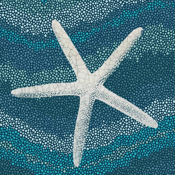 Sea Shells: Sea Glass IV by Wild Apple Portfolio