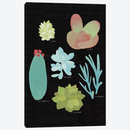 Succulent Plant Chart II Canvas Print #WAC4528} by Wild Apple Portfolio Canvas Art