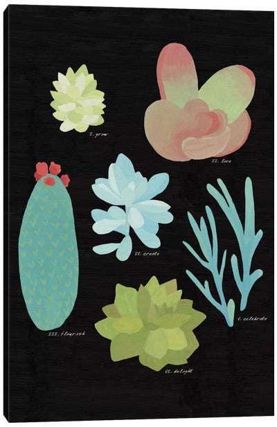 Succulent Plant Chart II Canvas Art Print