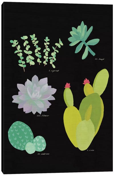 Succulent Plant Chart III Canvas Art Print