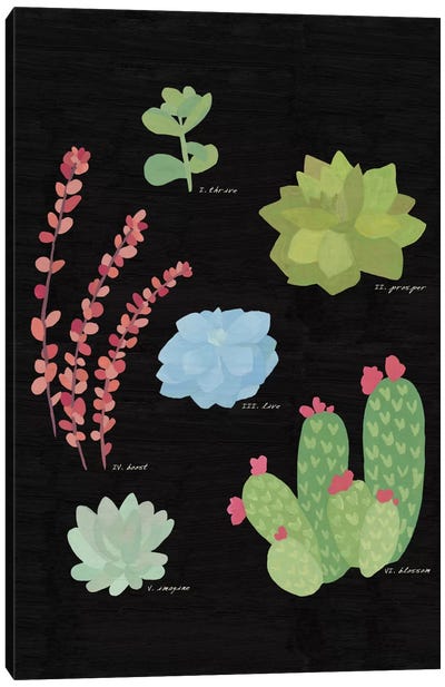 Succulent Plant Chart IV Canvas Art Print - Plant Art
