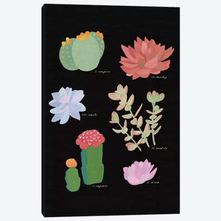 Succulent Plant Chart V Canvas Print #WAC4531} by Wild Apple Portfolio Art Print