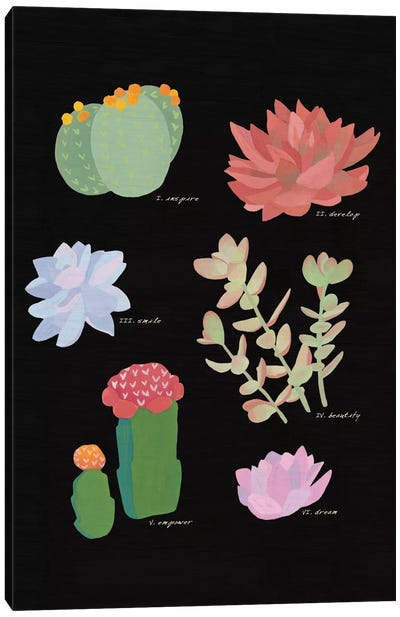 Succulent Plant Chart V Canvas Art Print - Plant Art