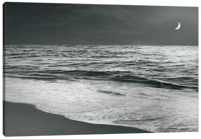 Moonrise Beach Canvas Art Print - 3-Piece Scenic