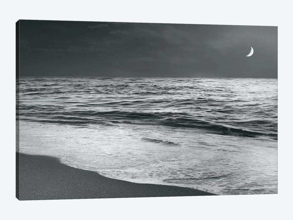 Moonrise Beach by Sue Schlabach 1-piece Art Print
