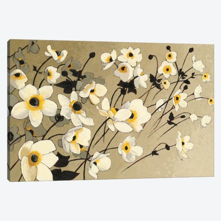 Anemones Japonaises Blancs Canvas Print #WAC4568} by Shirley Novak Canvas Artwork