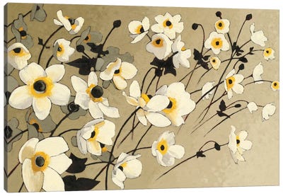 Anemones Japonaises Blancs Canvas Art Print - Anemones