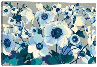 Anemones Japonaises I Canvas Art Print - Shirley Novak
