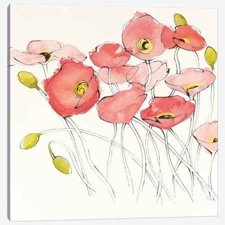 Black Line Poppies I Canvas Print #WAC4575} by Shirley Novak Canvas Art