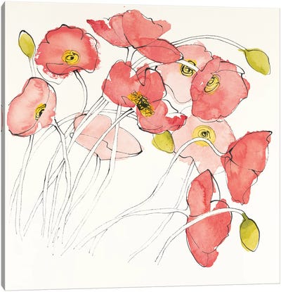 Black Line Poppies II Canvas Art Print - Shirley Novak