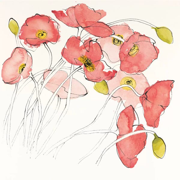 Poppies: Black Line Poppies II by Shirley Novak