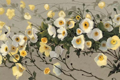 Breezes II by Shirley Novak canvas print