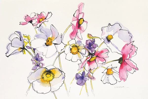 Cosmos: Cosmos Cosmos by Shirley Novak