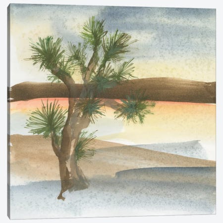 Desert Joshua Tree Canvas Print #WAC4627} by Chris Paschke Canvas Artwork