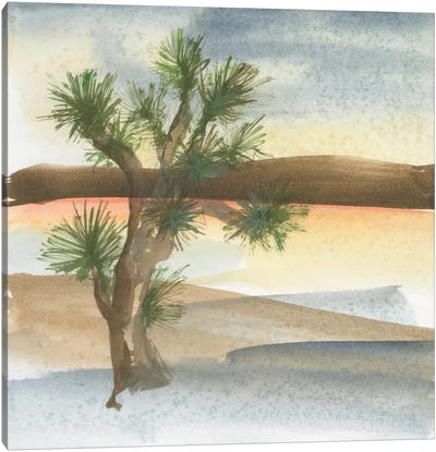 Desert Joshua Tree Canvas Art Print - Quiver Trees