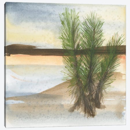 Desert Yucca Canvas Print #WAC4628} by Chris Paschke Canvas Print
