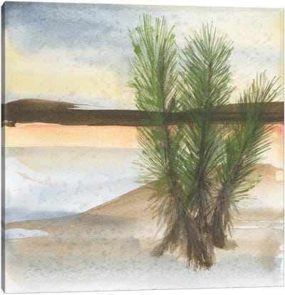 Desert Yucca Canvas Art Print