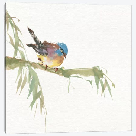 Finch Canvas Print #WAC4630} by Chris Paschke Canvas Artwork