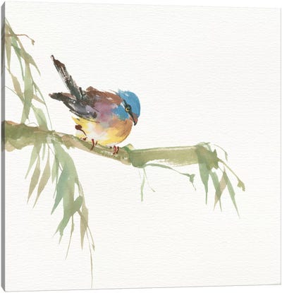 Finch Canvas Art Print - Minimalist Nature