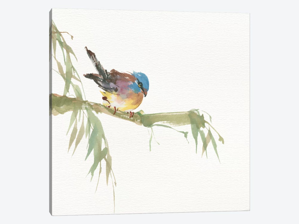 Finch by Chris Paschke 1-piece Canvas Print