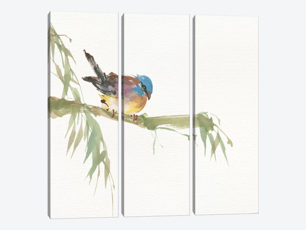 Finch by Chris Paschke 3-piece Art Print