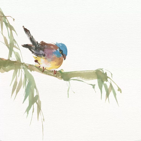 Chris Paschke: Finch by Chris Paschke