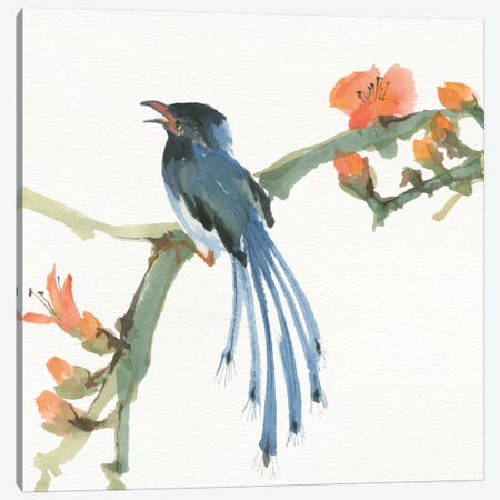 Formosan Blue Magpie Canvas Print #WAC4631} by Chris Paschke Canvas Art
