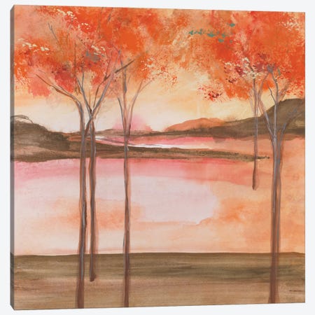 Mountain Meadow I Canvas Print #WAC4645} by Chris Paschke Canvas Art