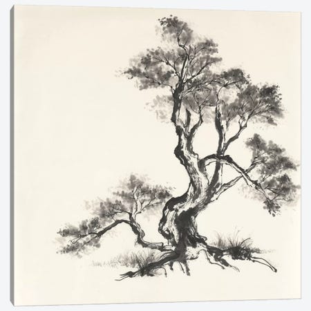 Sumi Tree I Canvas Print #WAC4653} by Chris Paschke Canvas Wall Art