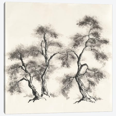 Sumi Tree III Canvas Print #WAC4655} by Chris Paschke Canvas Art Print