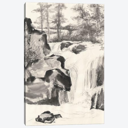 Sumi Waterfall I Canvas Print #WAC4656} by Chris Paschke Canvas Print