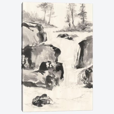 Sumi Waterfall II Canvas Print #WAC4657} by Chris Paschke Canvas Print