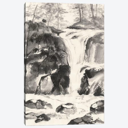 Sumi Waterfall IV Canvas Print #WAC4659} by Chris Paschke Canvas Art