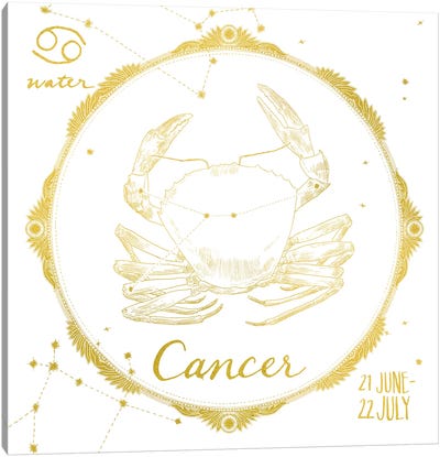 Cancer Canvas Art Print - Cancer