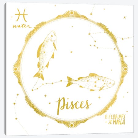 Pisces Canvas Print #WAC4704} by Sara Zieve Miller Art Print