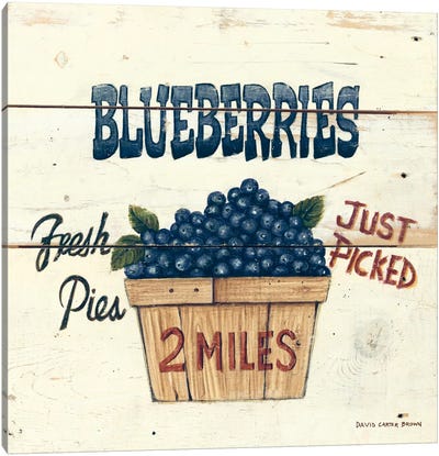 Blueberries Just Picked Canvas Art Print - David Carter Brown