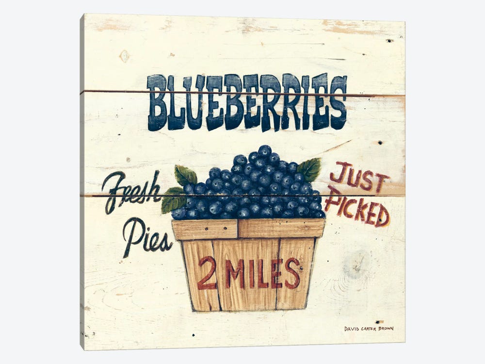 Blueberries Just Picked 1-piece Canvas Wall Art