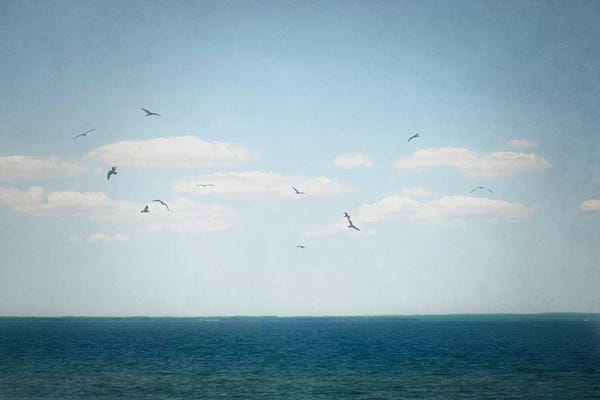 Calm: Calm Days IV by Elizabeth Urquhart