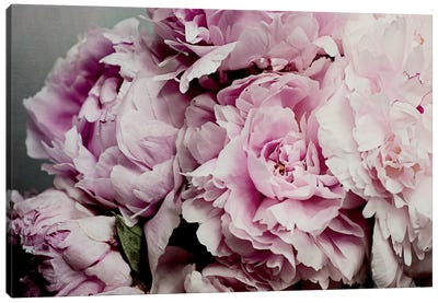 Peonies Galore II Canvas Art Print - Best of Photography