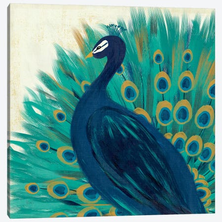 Proud As A Peacock II Canvas Print #WAC4726} by Veronique Charron Canvas Print