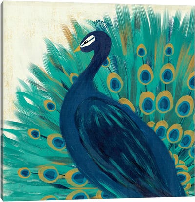Proud As A Peacock II Canvas Art Print