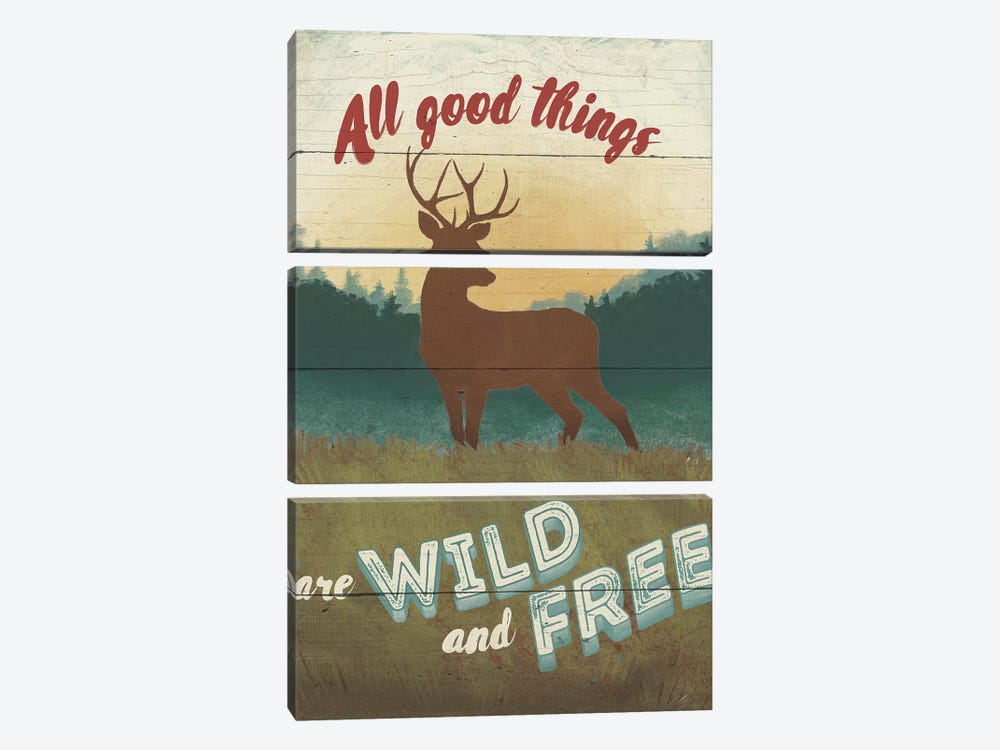 Discover The Wild II 3-piece Canvas Print