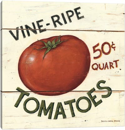 Vine Ripe Tomatoes Canvas Art Print - Gardening Art