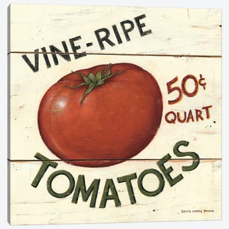 Vine Ripe Tomatoes Canvas Print #WAC473} by David Carter Brown Canvas Print