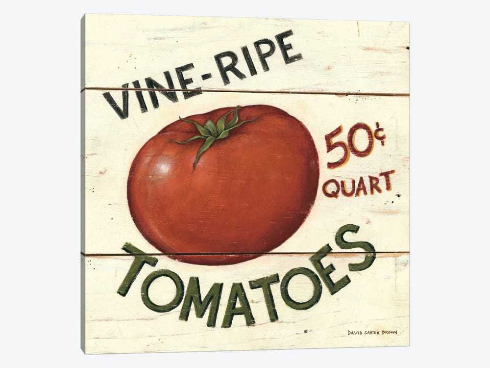 Vine Ripe Tomatoes by David Carter Brown 1-piece Canvas Art Print