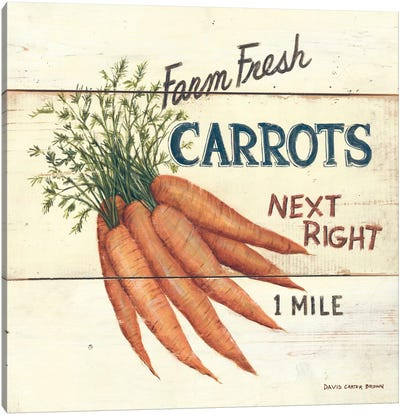 Farm Fresh Carrots Canvas Art Print - David Carter Brown