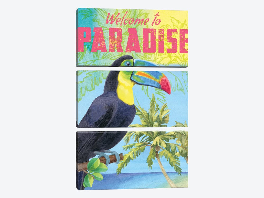 Island Time Parrot by Beth Grove 3-piece Canvas Art Print