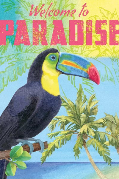 Parrots: Island Time Parrot by Beth Grove