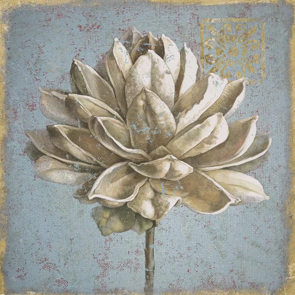 Nature Close-Ups: Seed Pod I by Beth Grove